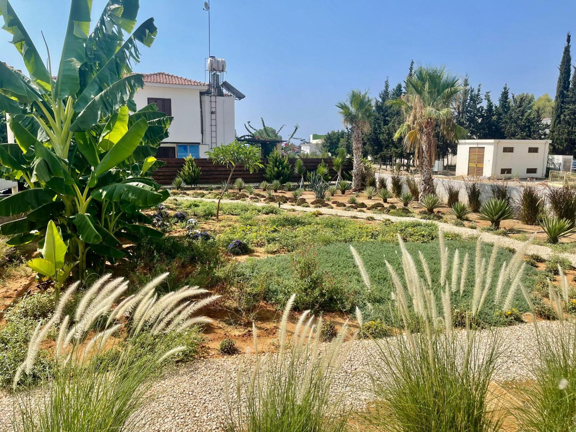 Sea View Suites By The Coast Famagusta  Esterno foto